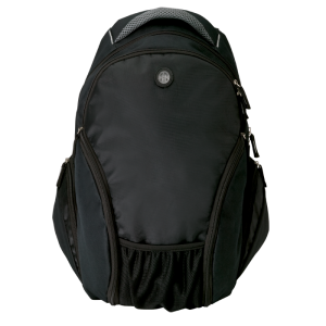 Executive Backpack